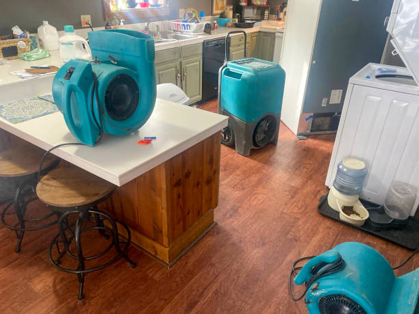 Best Carpet water damage restoration  in Montrose, NY