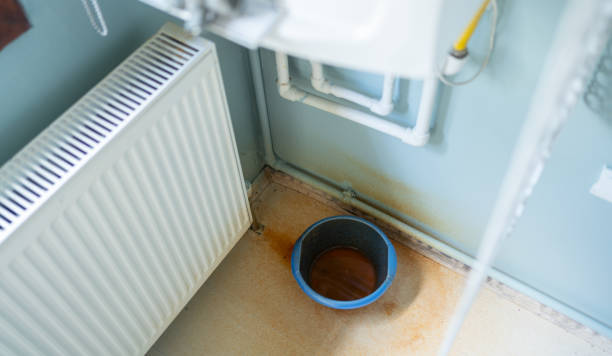 Best Water damage restoration near me  in Montrose, NY